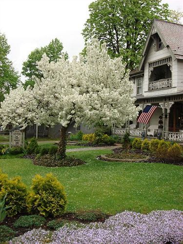 Rocking Horse Inn Ravenna Exterior photo